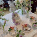 stay 이너프 이미지