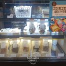 네발라이프 이미지