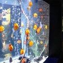 단양-단양-05 이미지