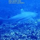 샤크 티스토리
