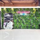 디자인율 이미지