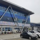북항활어회시장