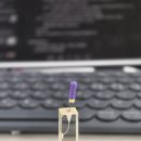 미르치과의원 | 토요일 신경치료 세미나 후기: Dentsply Sirona