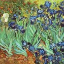 아이리스 이미지