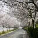 군도17호 이미지