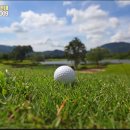 보문카정비 이미지