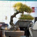 대길주유소 이미지