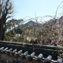 각북면사무소 이미지