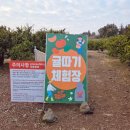 성화농장 | 아이랑 제주 여행 1일차 <파더스 가든>,<우녘집>