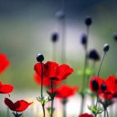 아름다운 사람들 이미지