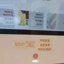 카페 쉴 꽃