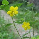 장곡자연휴양림 이미지