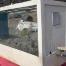 오천수족관 이미지