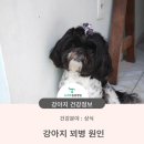 청학동물병원 이미지