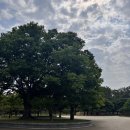 도솔약국 | 경주당일치기여행/경주황리단길맛집/도솔마을(한정식)/경주황리단길 카페/스위피/스컹크웍스(재방문...