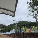 내동1천 | 창녕 산토끼노래동산의 변화 - 밥집생김(산토끼밥상), 먹이주기금지