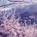 거리실농원 네이버블로그