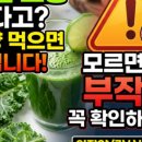 산약마 | 마의 효능 ‘산속의 장어’라더니… 모르고 먹으면 독 되는 마 부작용 총정리