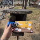 웃는돈지 국수가 이미지