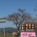 농업회사법인 마음이가(주) 이미지