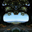 사랑나무 | [부여맛집] 사랑나무돈까스 솔직후기[내돈내산]