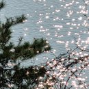 청남대 가을축제, 말티재와 속리산 법주사 세조길 이미지