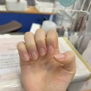 SH'beauty 네이버블로그