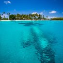 태평양환경 이미지