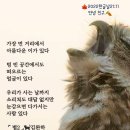 Feeling good Mix[2025]외 모음 이미지