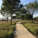 망원C