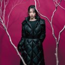 드라이다운핏 이미지