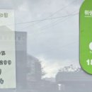 늘솜늘품