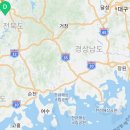 남성크로커다일평화점