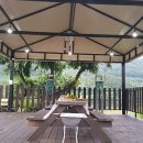 영월오아시스 글램핑 이미지