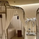 상해 | 중국 상하이(상해) 내시경 귀청소 후기 (+내돈내산 , 가격, 예약방법, 위치)