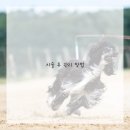 이아소치과의원 이미지