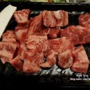 갈비병장 이미지