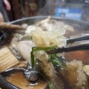 산들숲산약초마을