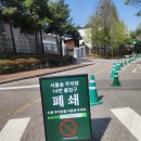 서울숲 무지개터널 앞 | 2025년 서울숲 주차장 정보와! 곧 시작되는 서울숲 튤립축제 알려드려요🌷