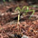 여로민박 이미지