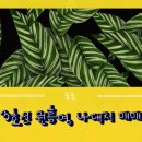 원흥역(3호선) 이미지