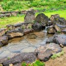 한누리농장 이미지