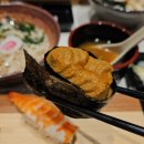B.B 명동점 | 광화문 맛집 스시 🐘 코끼리 초밥 🍣 광화문역 점심 B세트 후기 (12ps+샐러드+우동+장국)