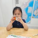 교육,상담 | 한국시찌다교육 제주학원 1:1 샘플수업과 영재교육 상담 후기