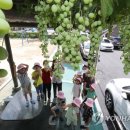 중흥2동 행정복지센터 이미지