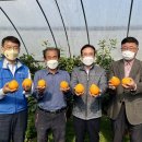 김종기농장 이미지