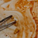 알랑치킨 이미지