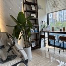 위너치과의원 이미지