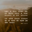 2025,새생명 축제-온사랑교회,정애리권사 이미지