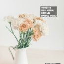 이산세무법인 이미지